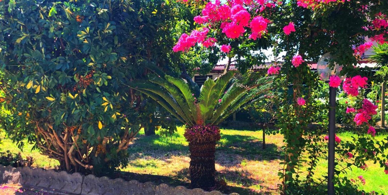 Casetta Ggg SantʼEufemia Lamezia Εξωτερικό φωτογραφία